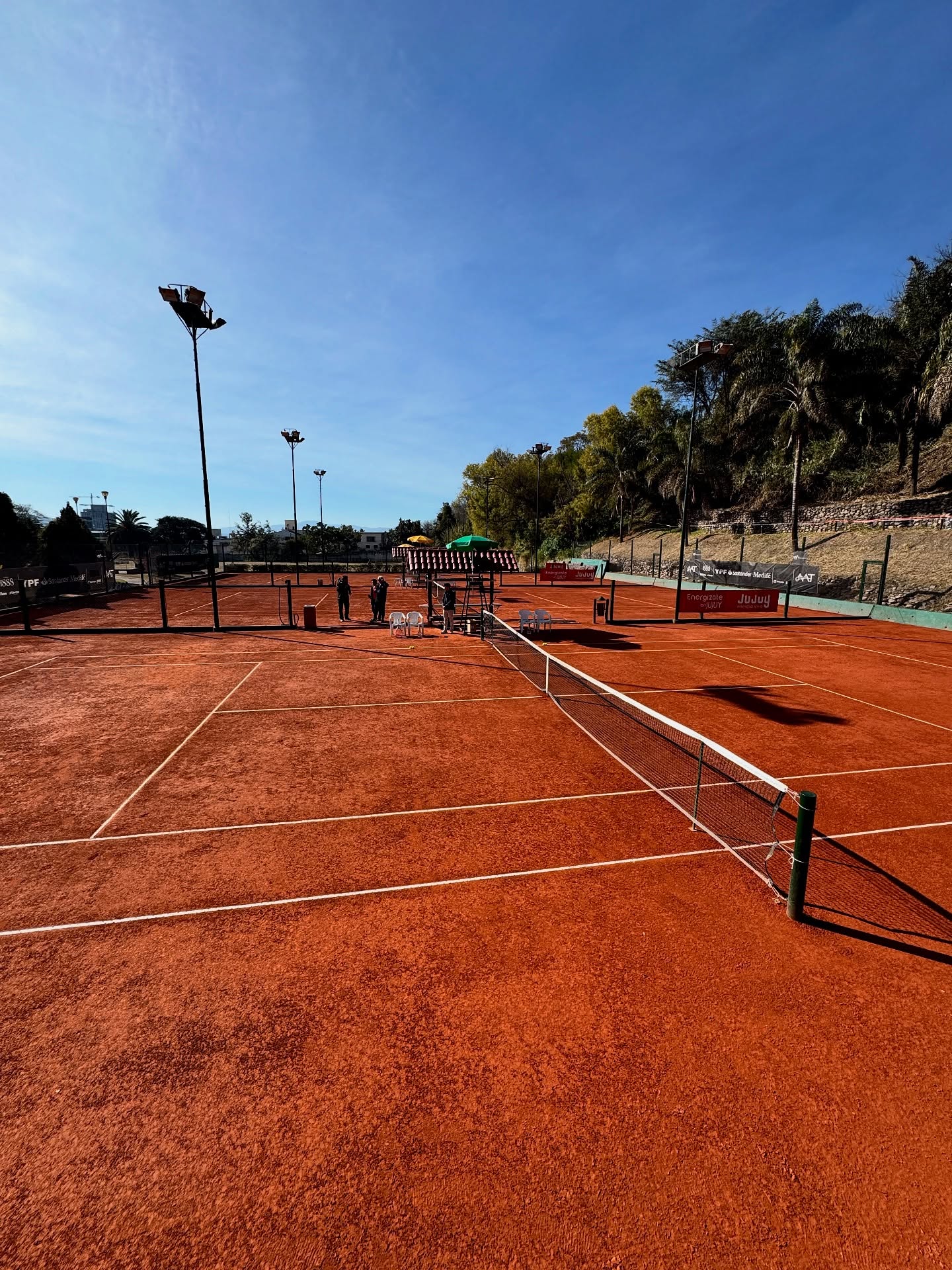 Tenis